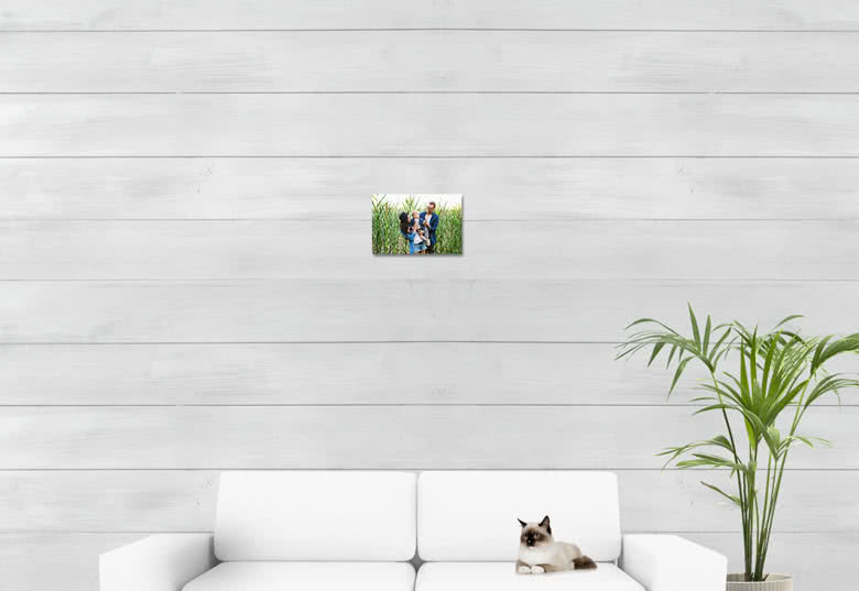 Alu Juliste 30 x 20 cm